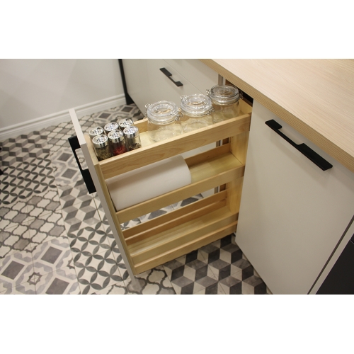 Pull-Out Organizer